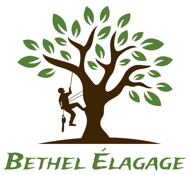 bethel élagage